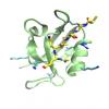 Peptide Binding to a PDZ Domain by Electrostatic Steering via Non-Native Salt Bridges