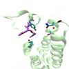 Different modes for acetyl-lysine binding to bromodomains - I